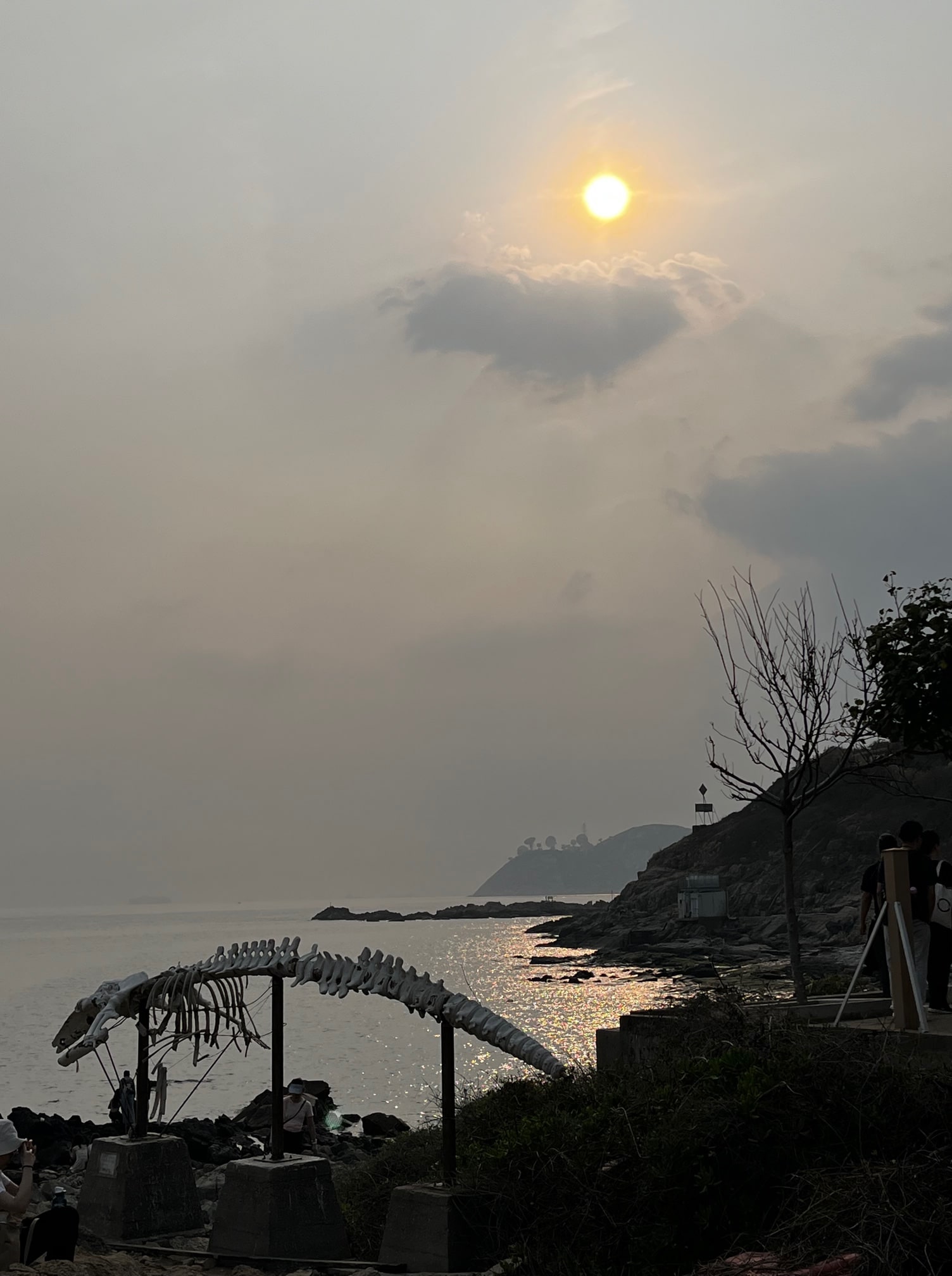 The mysterious whale skeleton and the setting sun.