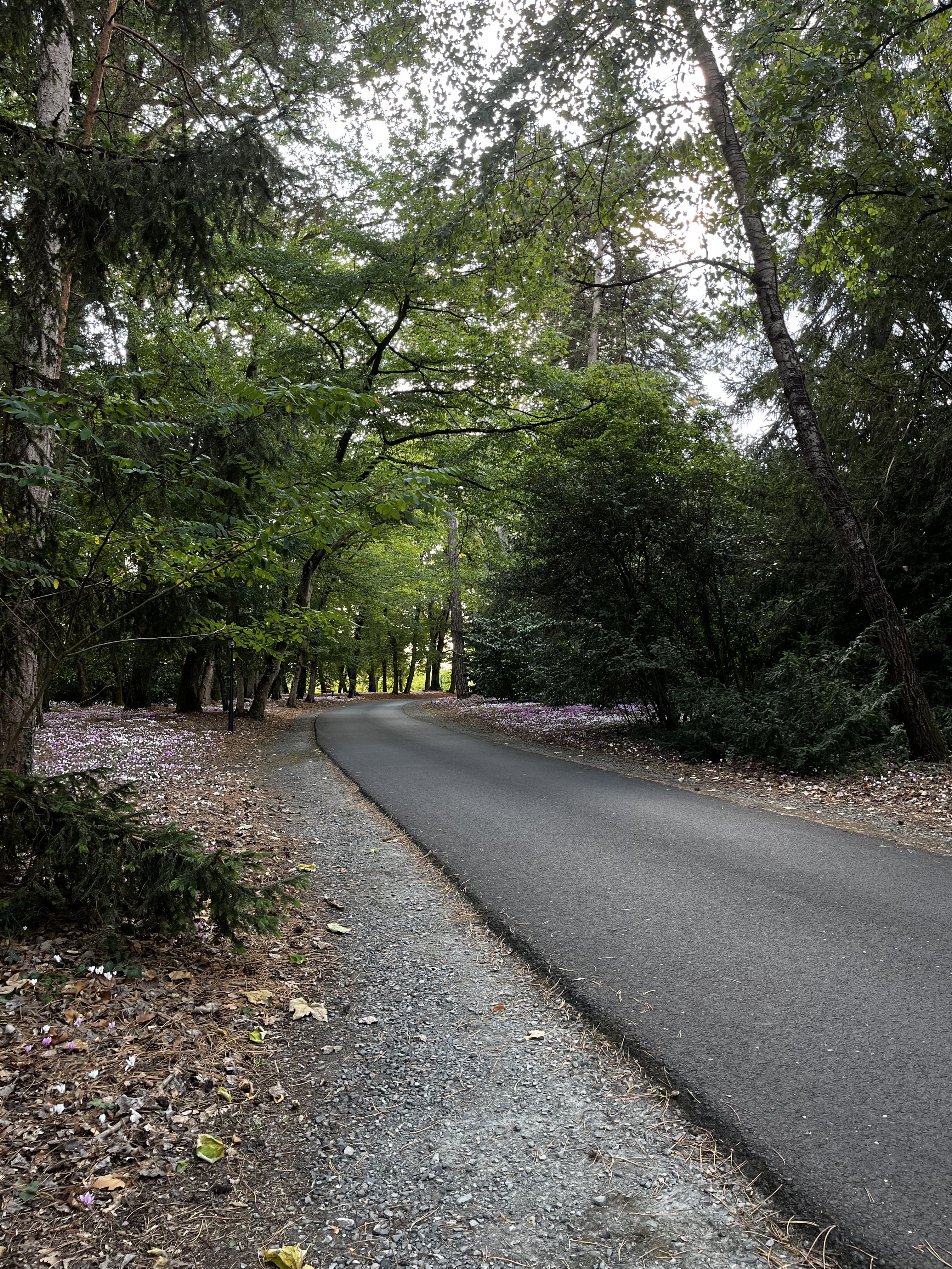 The entrance road to the castle domain.